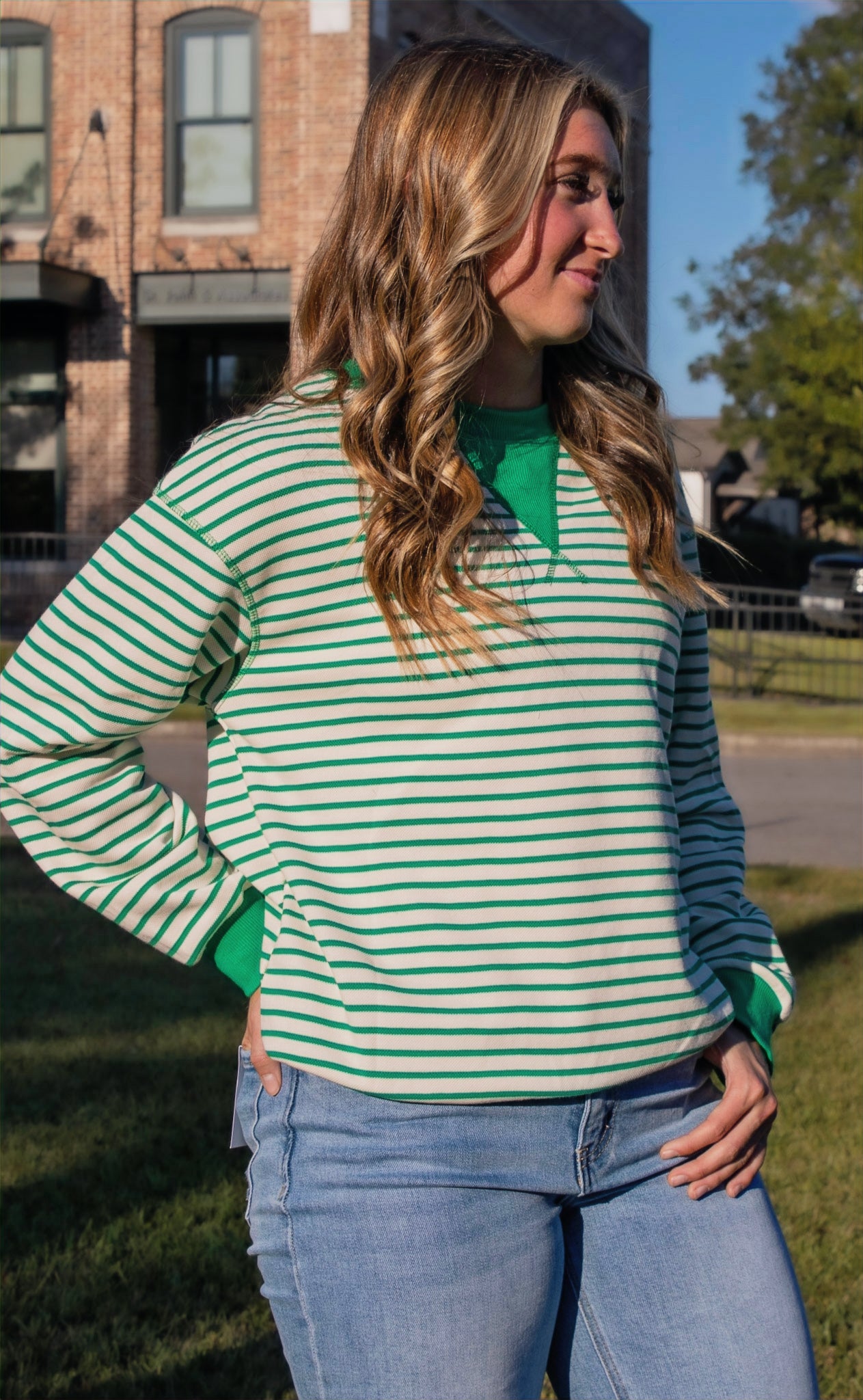 Striped Pullover image 0