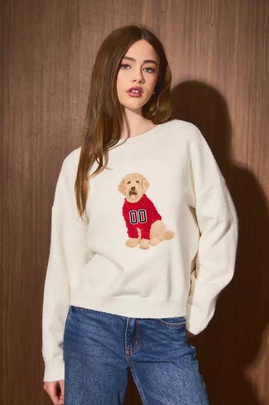 Gameday Dog Sweater